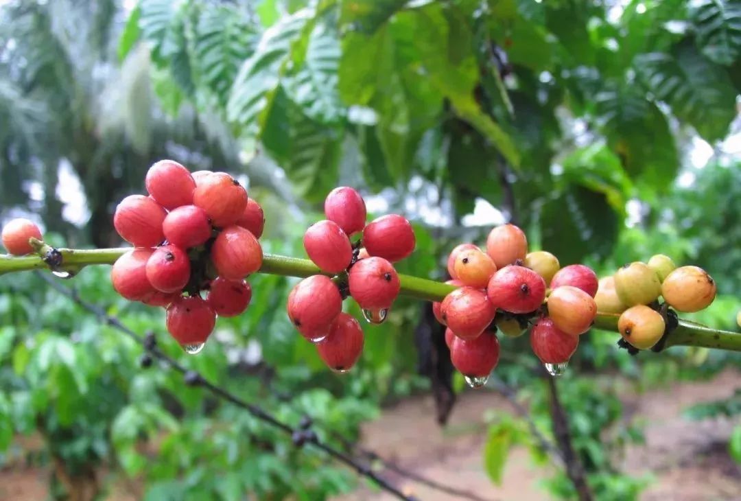 2ab43377eeec4a768340b99f5bc65167